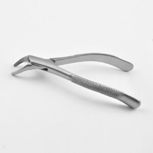 151 Lower Incisors Cuspids Bicuspids