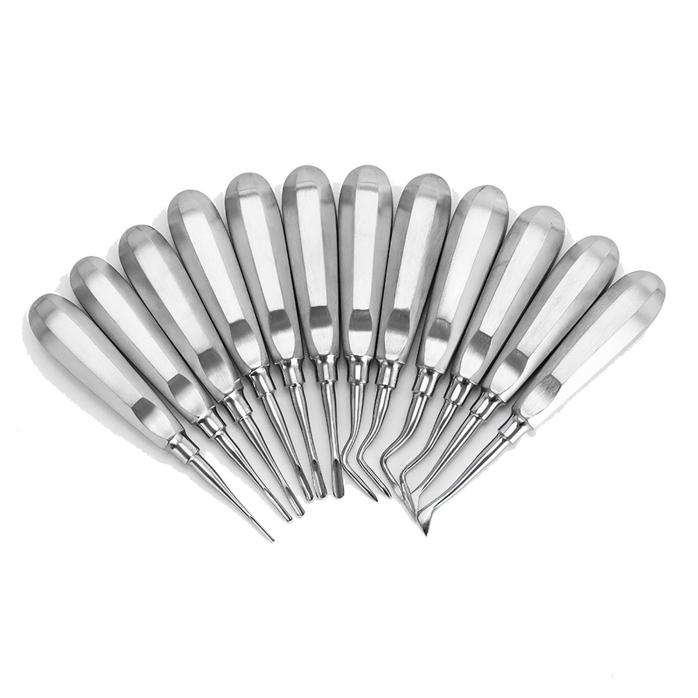 Dental Elevator Set, 12 Pieces – Minimally Invasive - Image 3