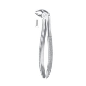 Fig. 13S Lower Premolars For Children