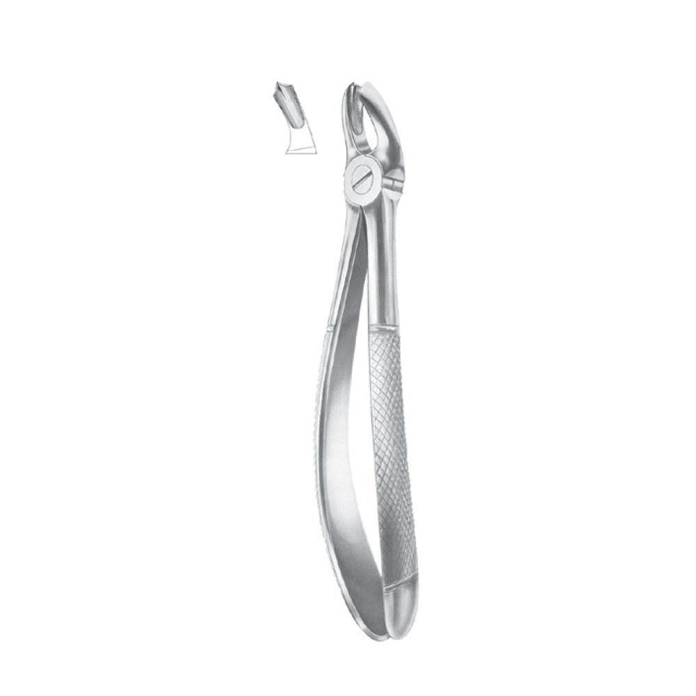 Fig. 17 Upper Molars, Right