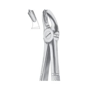 Fig. 18A Upper Molars