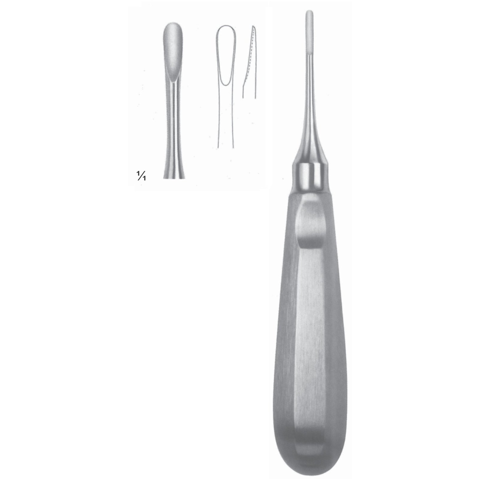 Apical Root Elevators