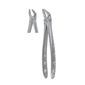 Fig. 8, Lower Premolars