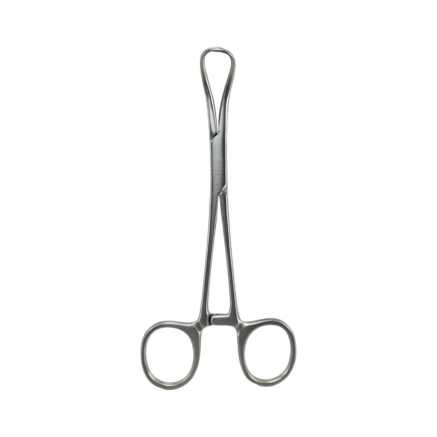 Backhaus Towel Forceps, Standard, 13NJM, CVD Tips - Image 2