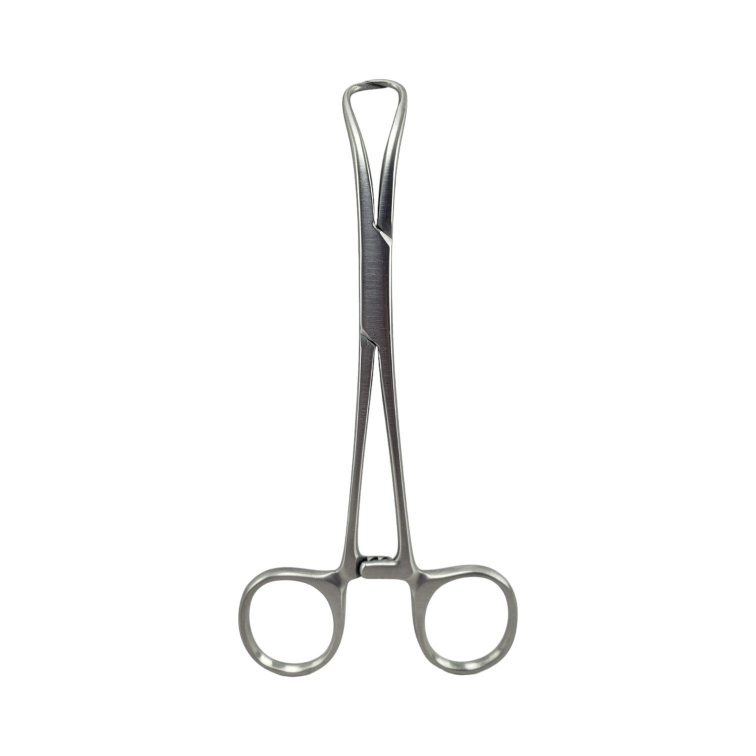 Backhaus Towel Forceps, Standard, 13NJM, CVD Tips