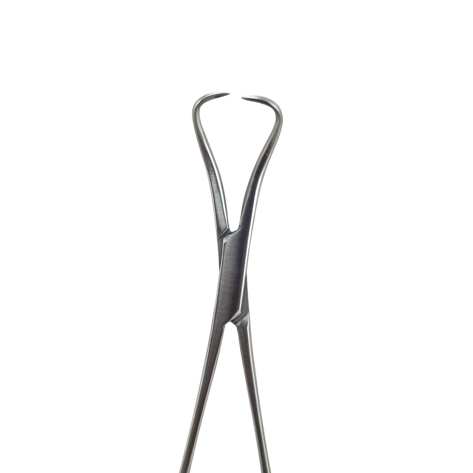 Backhaus Towel Forceps, Standard, 13NJM, CVD Tips - Image 3
