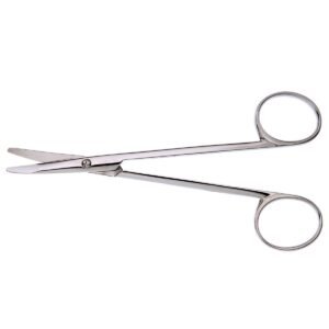 Ragnell Dissecting Scissors