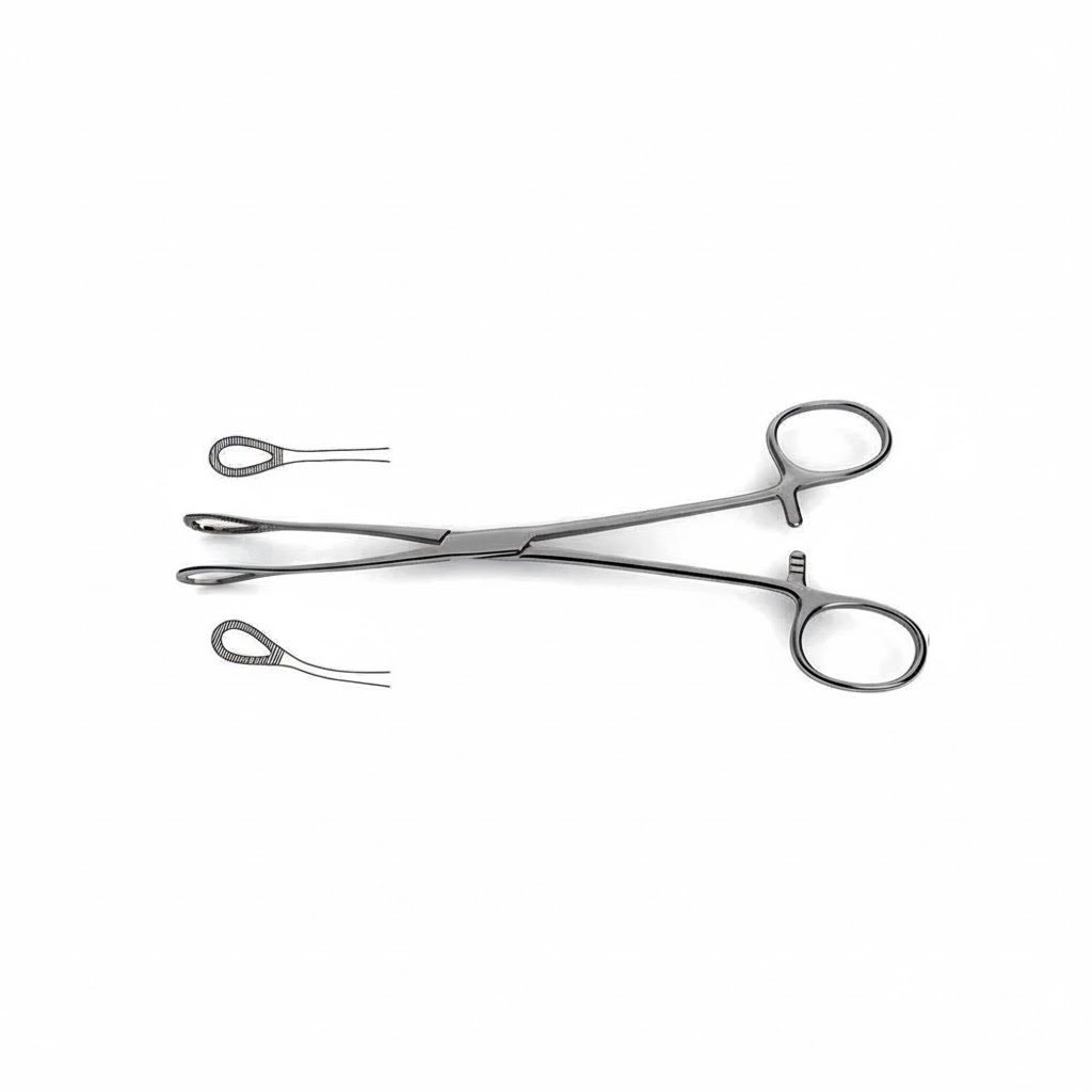 Foerster (Ballenger) Sponge Forceps – Serrated Looped Jaws
