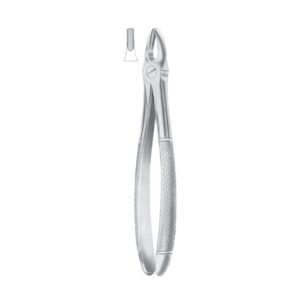 Fig.1 Upper Centrals & Canines