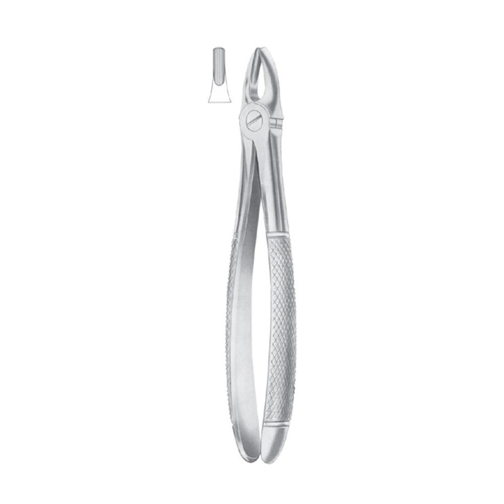Fig.1 Upper Centrals & Canines