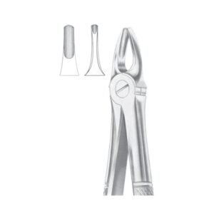 Fig. 3 Upper Incisors & Canines
