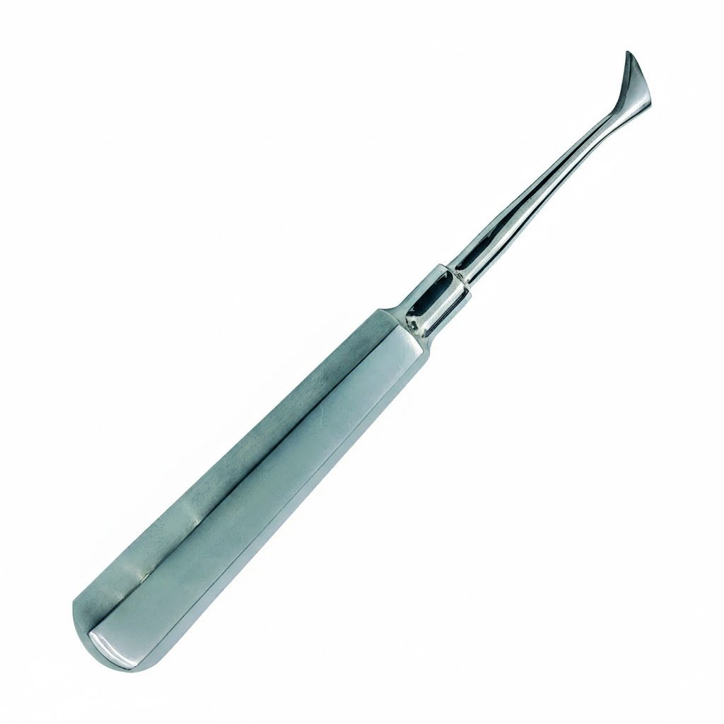 Straight Dental Elevator – German Stainless Steel - Image 3
