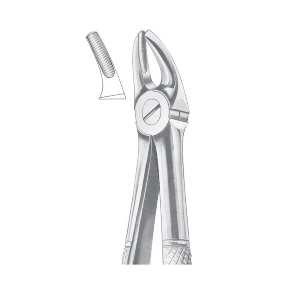 Fig. 7 Upper Premolars