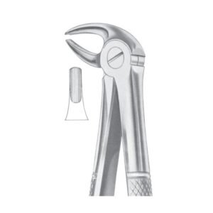Fig. 13 Lower Premolars